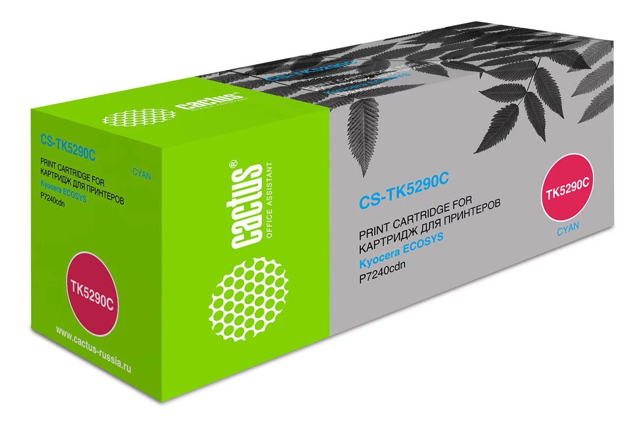 Картинка cs-tk5290c