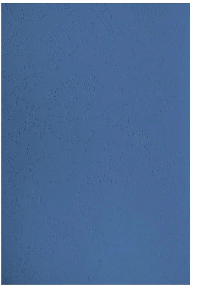 Обложки для переплёта Silwerhof Daily A4 230г/ м2 синий (100шт) (2090821) (2090821#MLN)