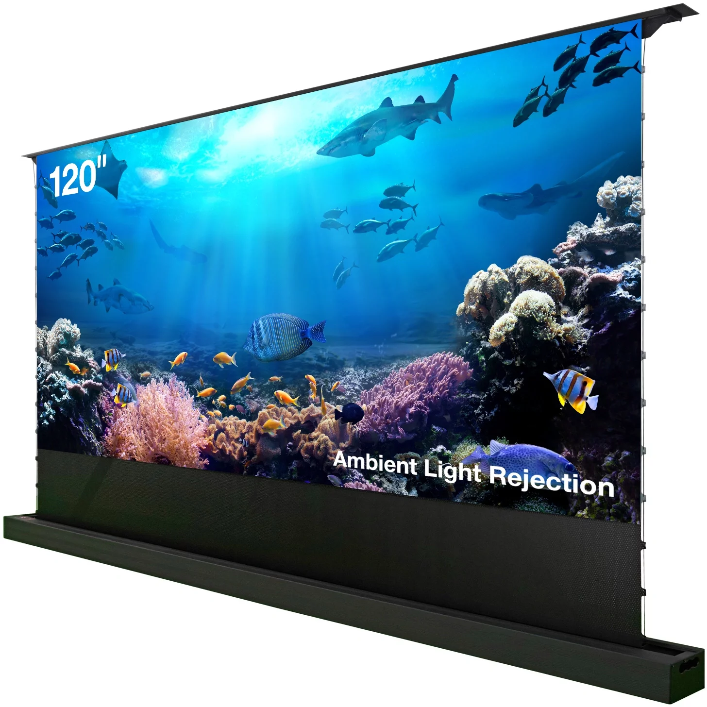 Картинка cs-psfralr-263x148