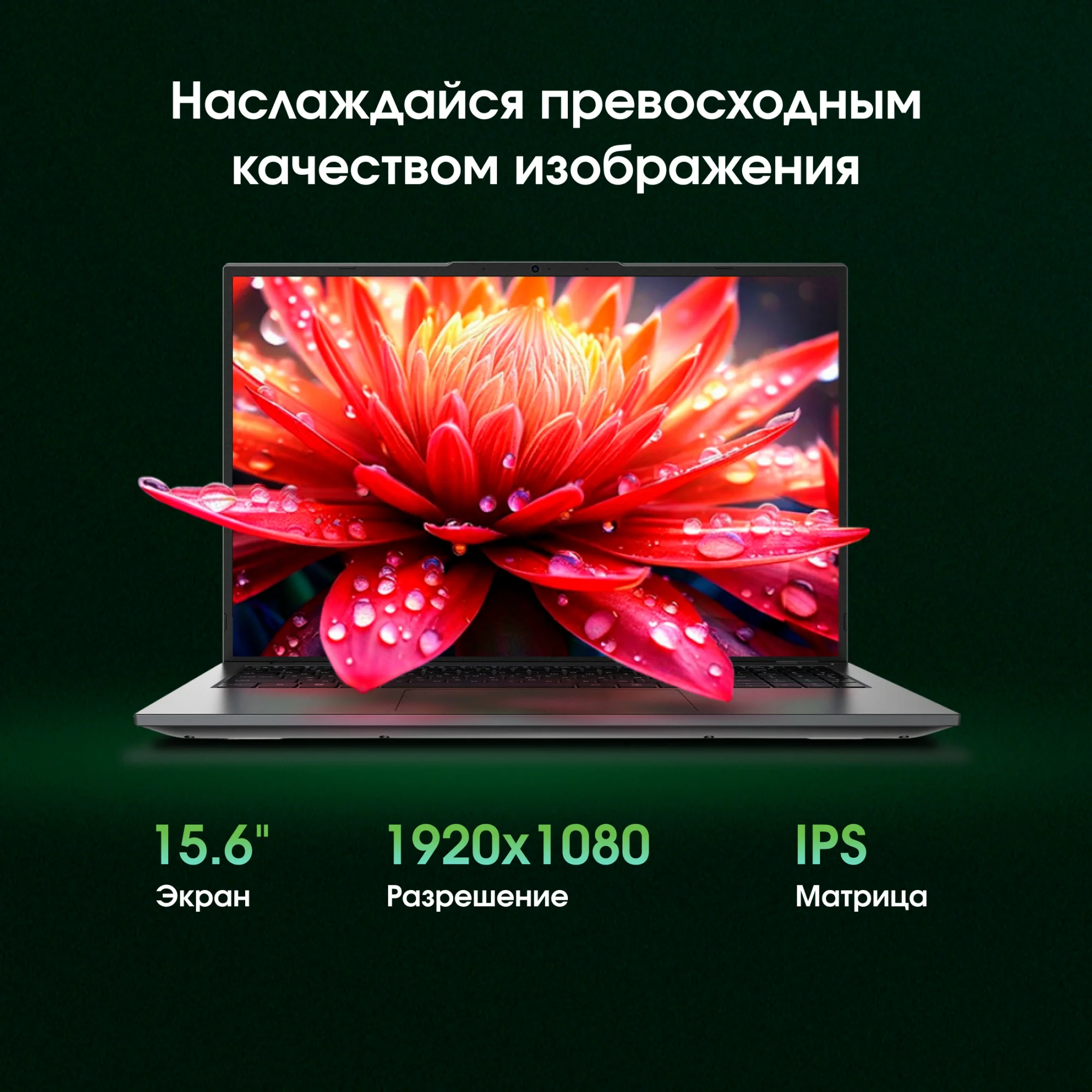 Картинка dn15p7-bdxw01