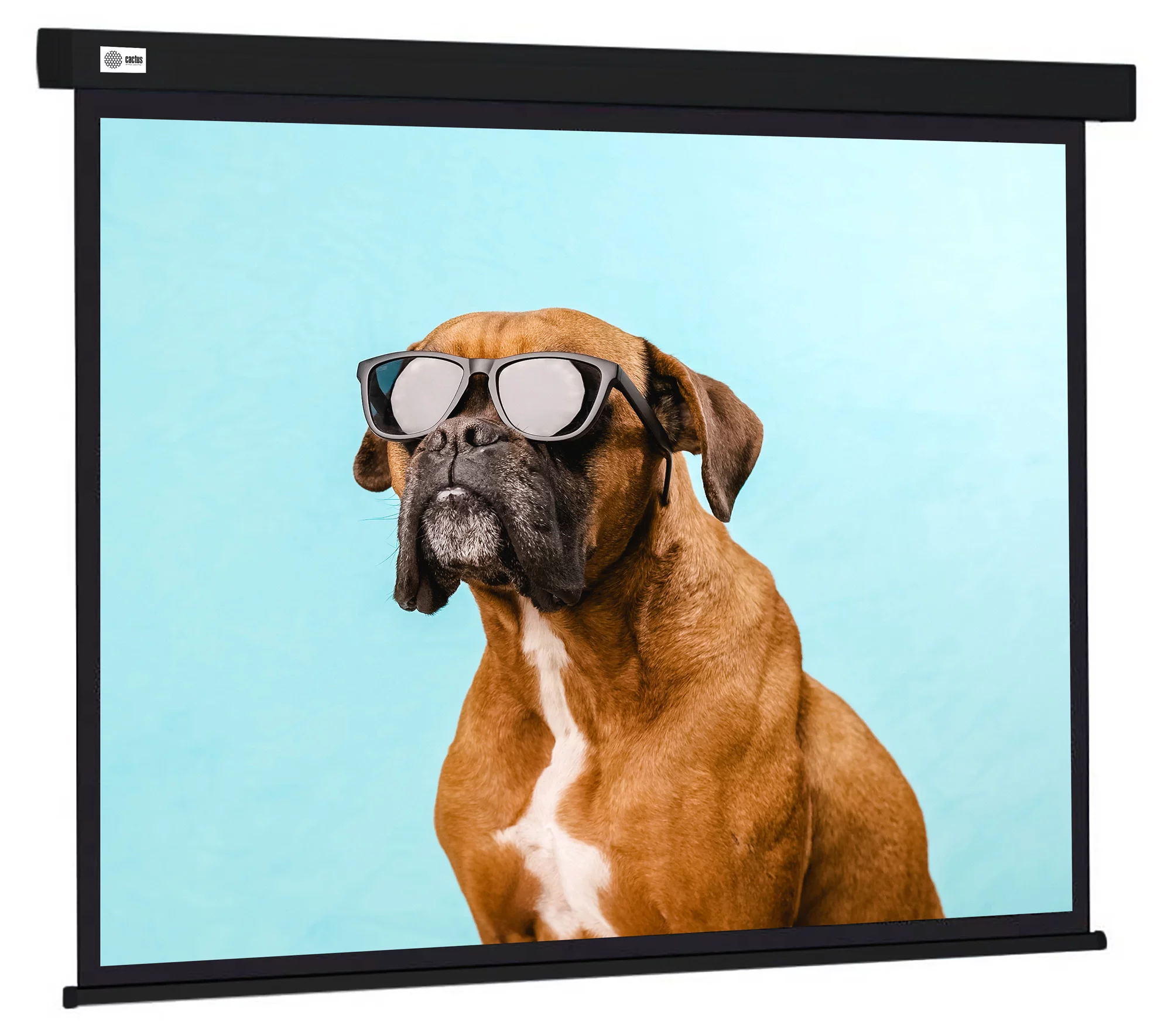 Картинка cs-psw-183x244-bk