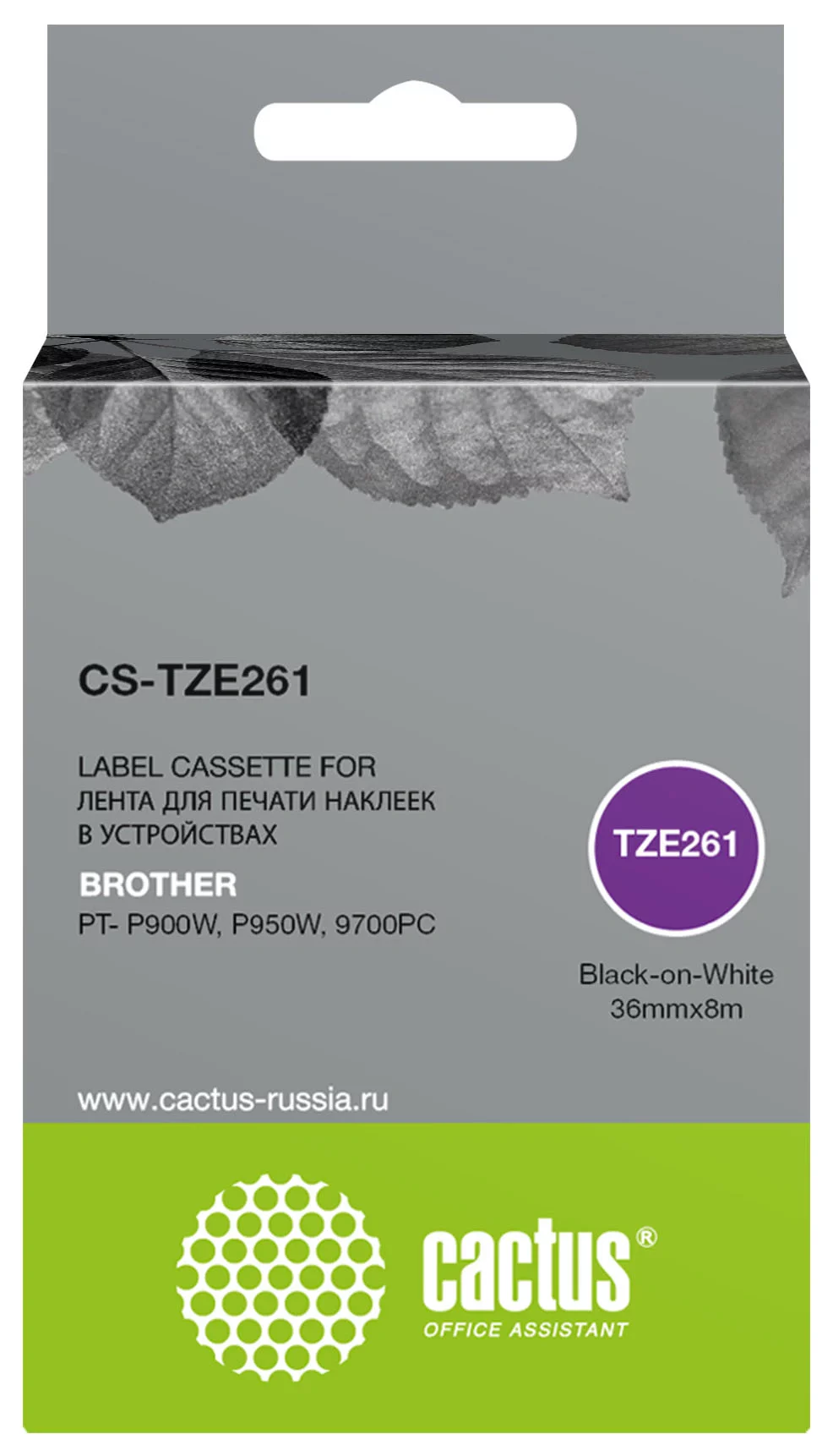 Картинка cs-tze261