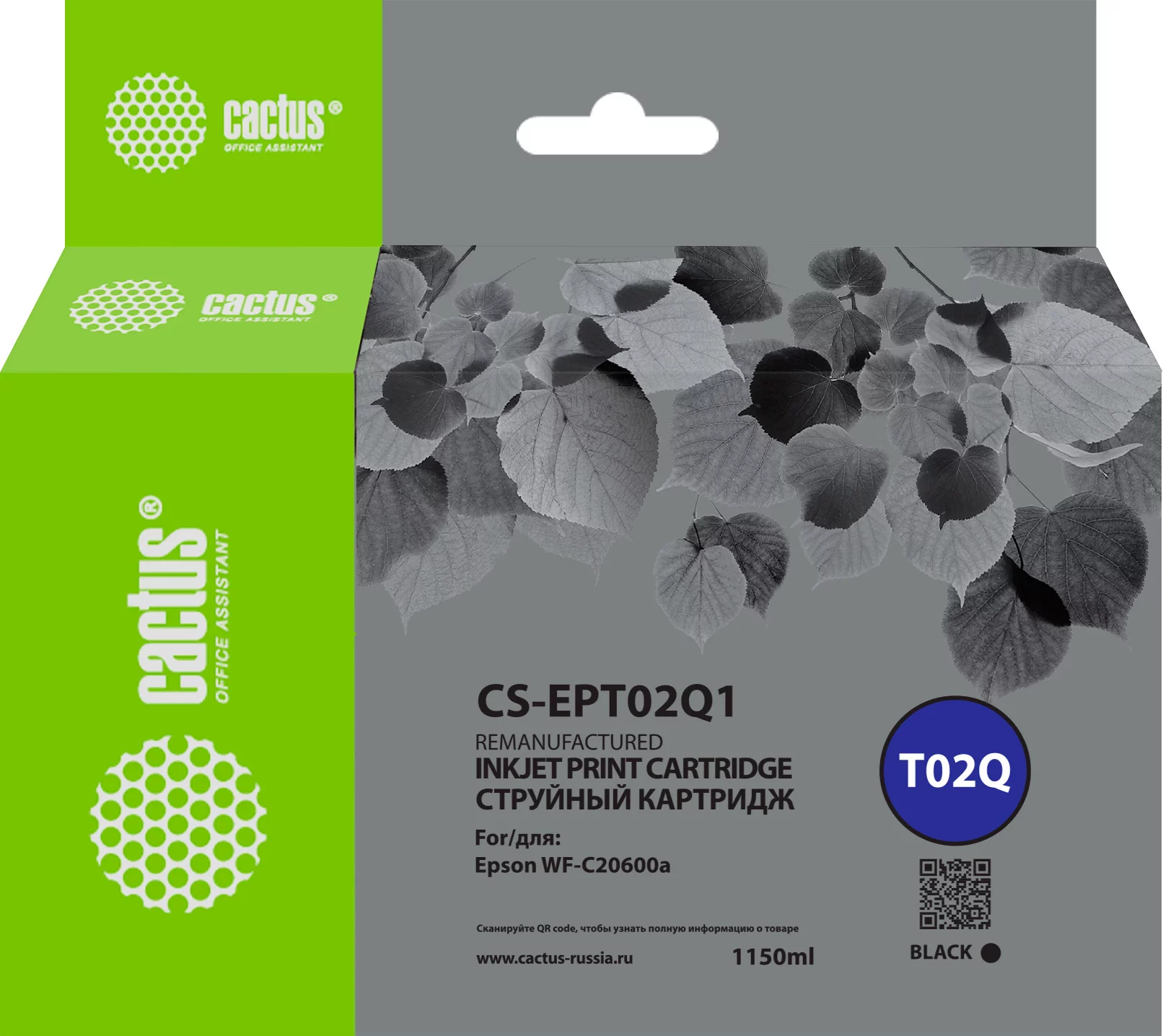 Картинка cs-ept02q1