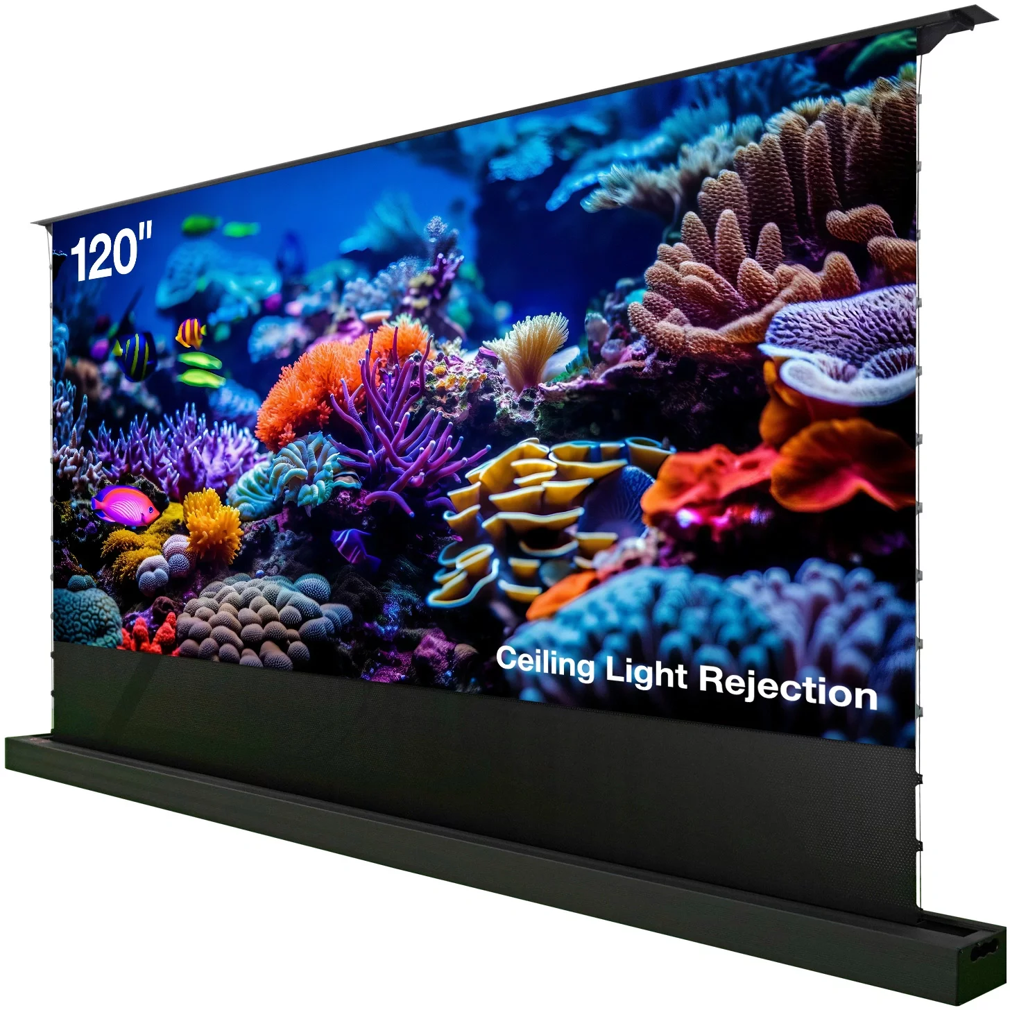 Картинка cs-psfrclr-263x148