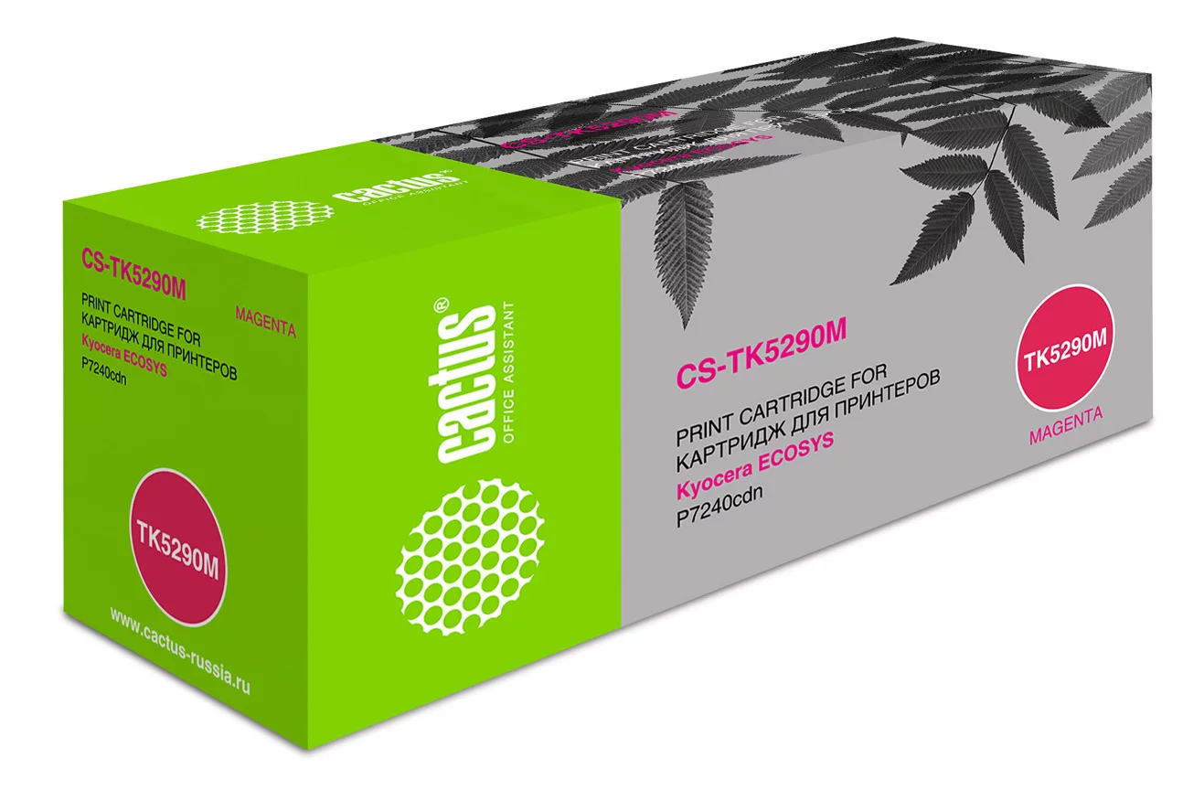 Картинка cs-tk5290m