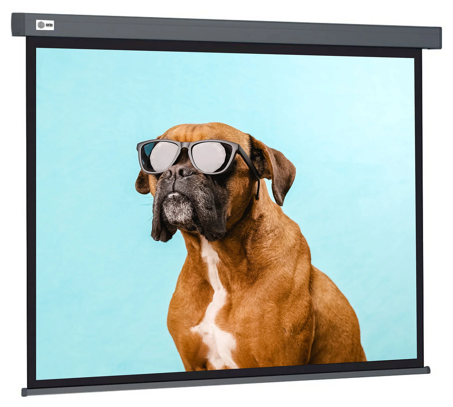Картинка cs-psw-149x265-sg