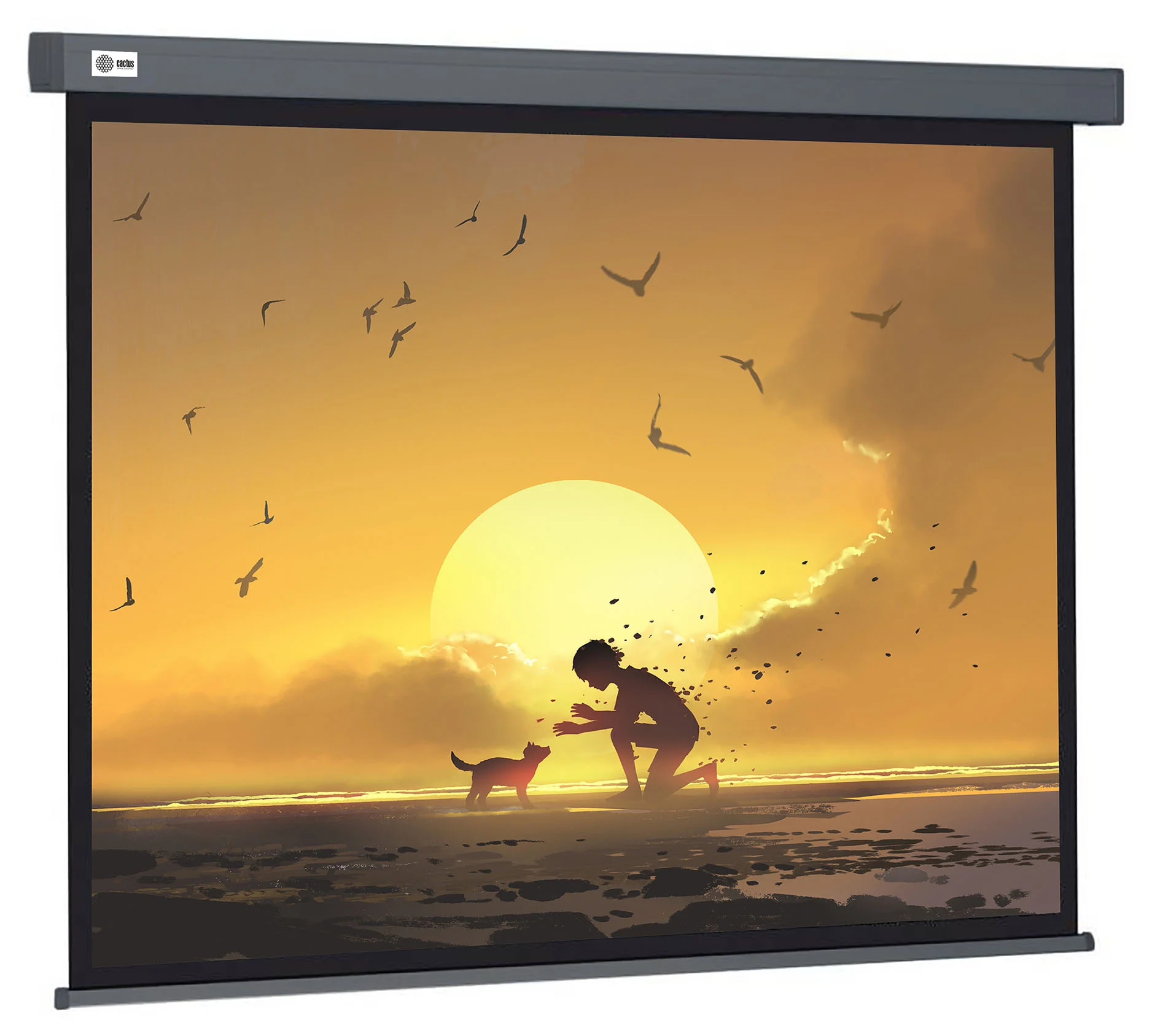 Картинка cs-psw-124x221-sg