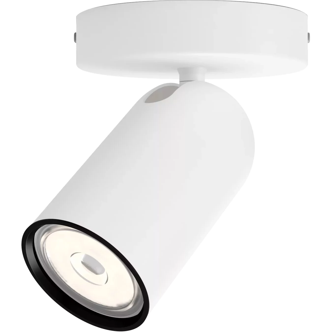 Потолочный светильник Philips/ Потолочный светильник PONGEE single spot white 1xNW 230V (915005530501)