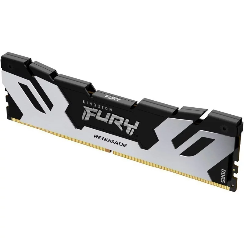 DDR 5 DIMM 48Gb PC48000, 6000Mhz, Kingston FURY Renegade Silver XMP CL32 (KF560C32RS-48) (retail)