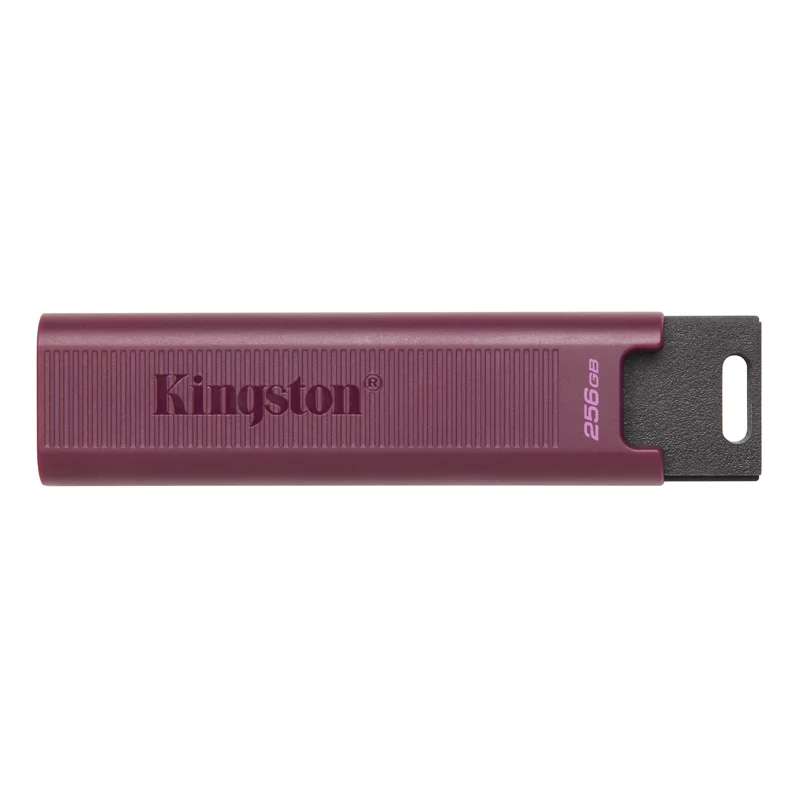 Картинка dtmaxa-256gb
