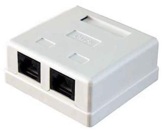 Картинка tl-cat-014
