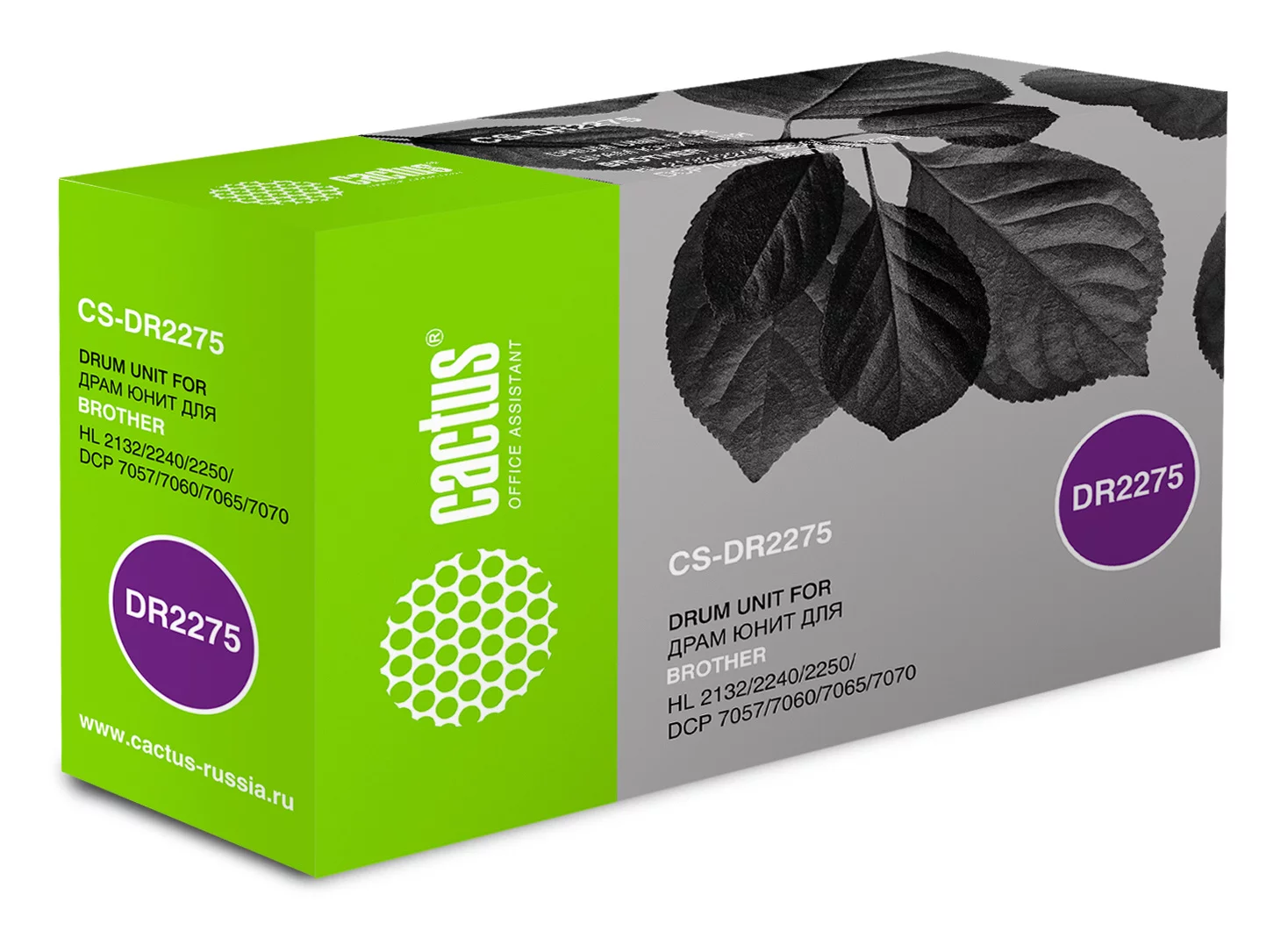 Картинка cs-dr2275