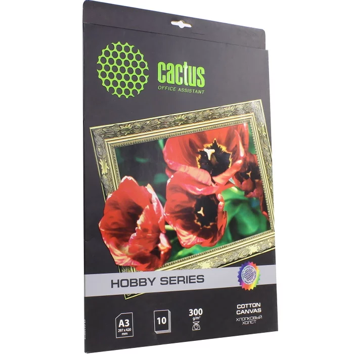 Холст Cactus CS-CA326010 A3/300г/м2/10л./белый для струйной печати