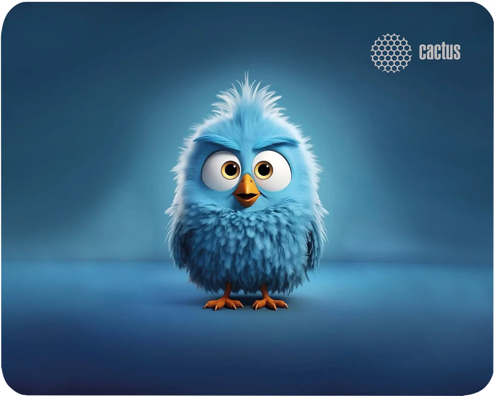 Картинка cs-mp-p13xs
