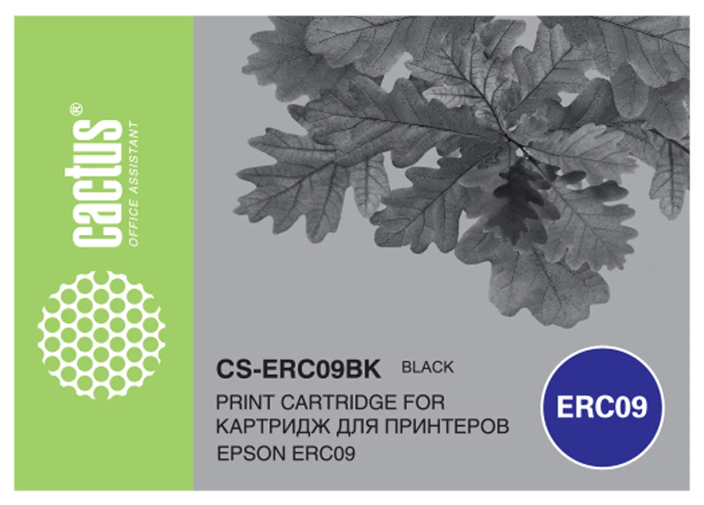 Картинка cs-erc09bk