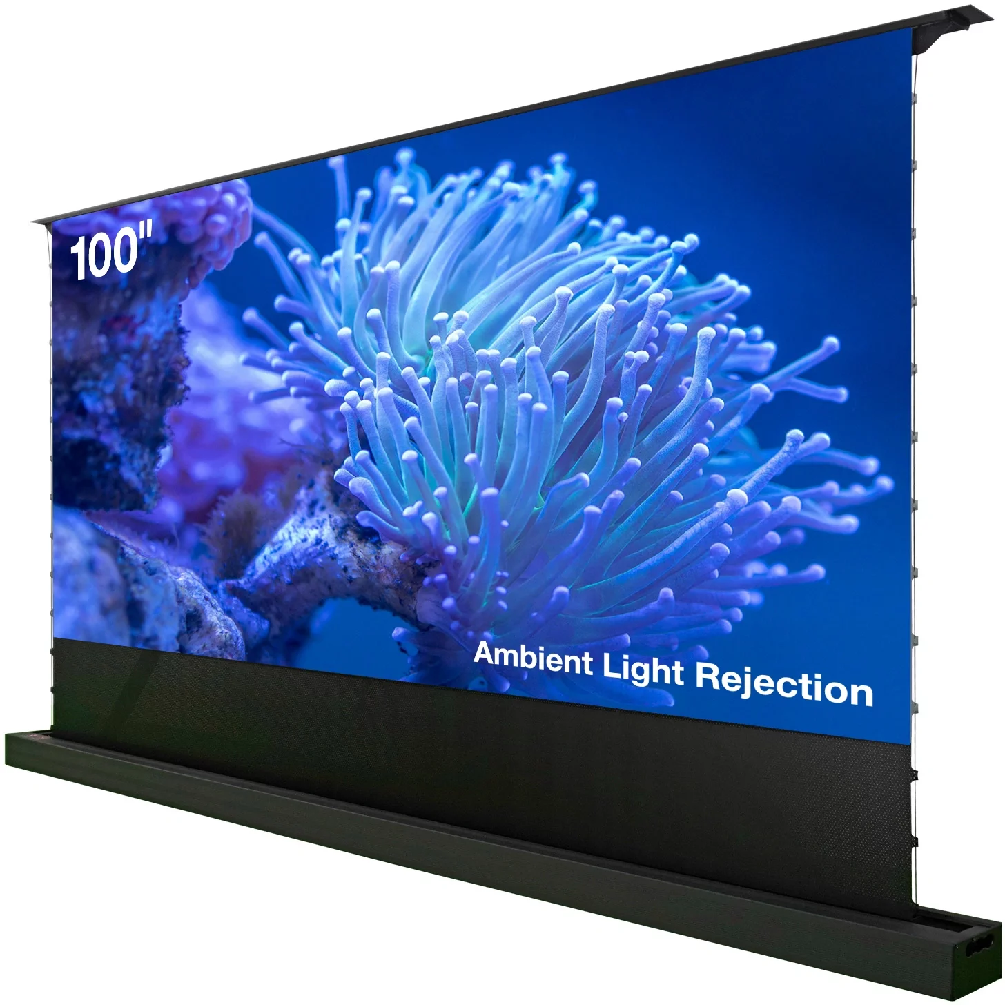 Картинка cs-psfralr-221x125