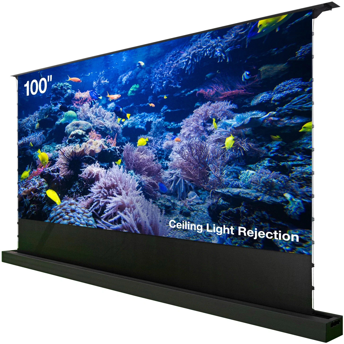 Картинка cs-psfrclr-221x125