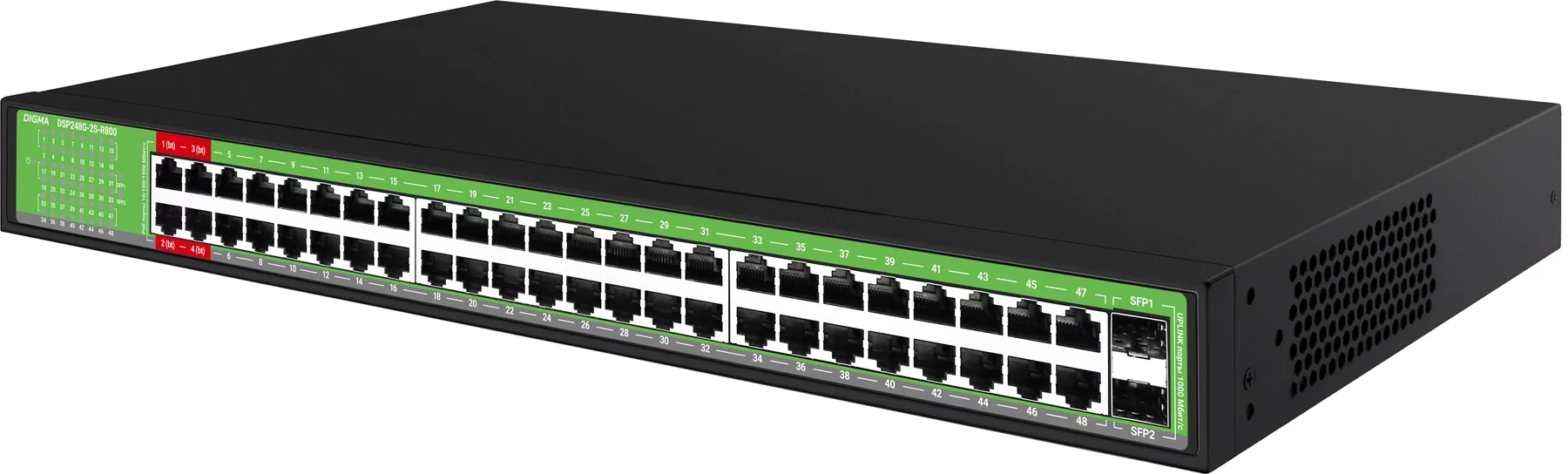 Картинка dsp248g-2s-r800-v1
