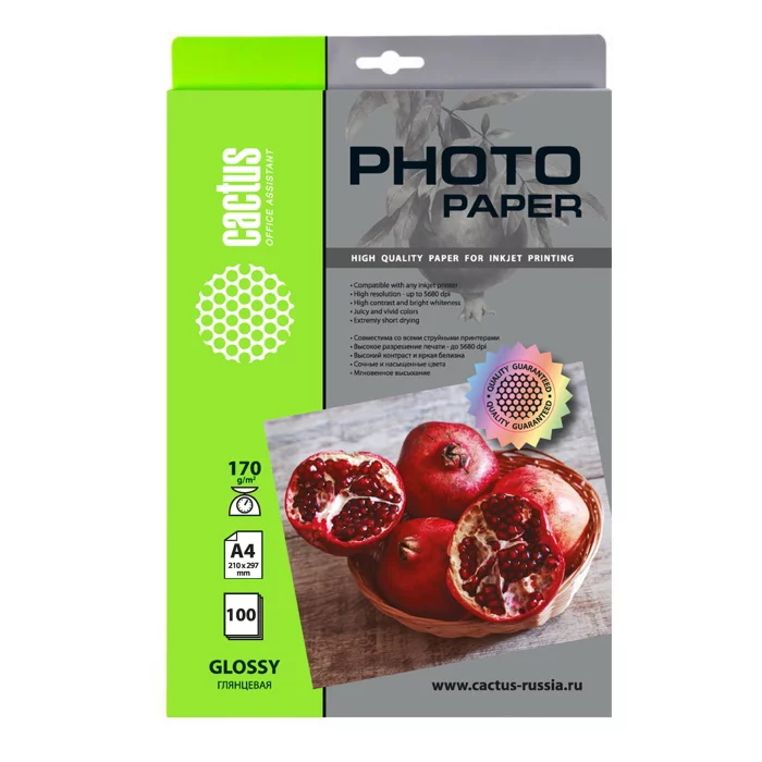 Фотобумага Cactus CS-GA4170100 A4/170г/м2/100л./белый глянцевое для струйной печати