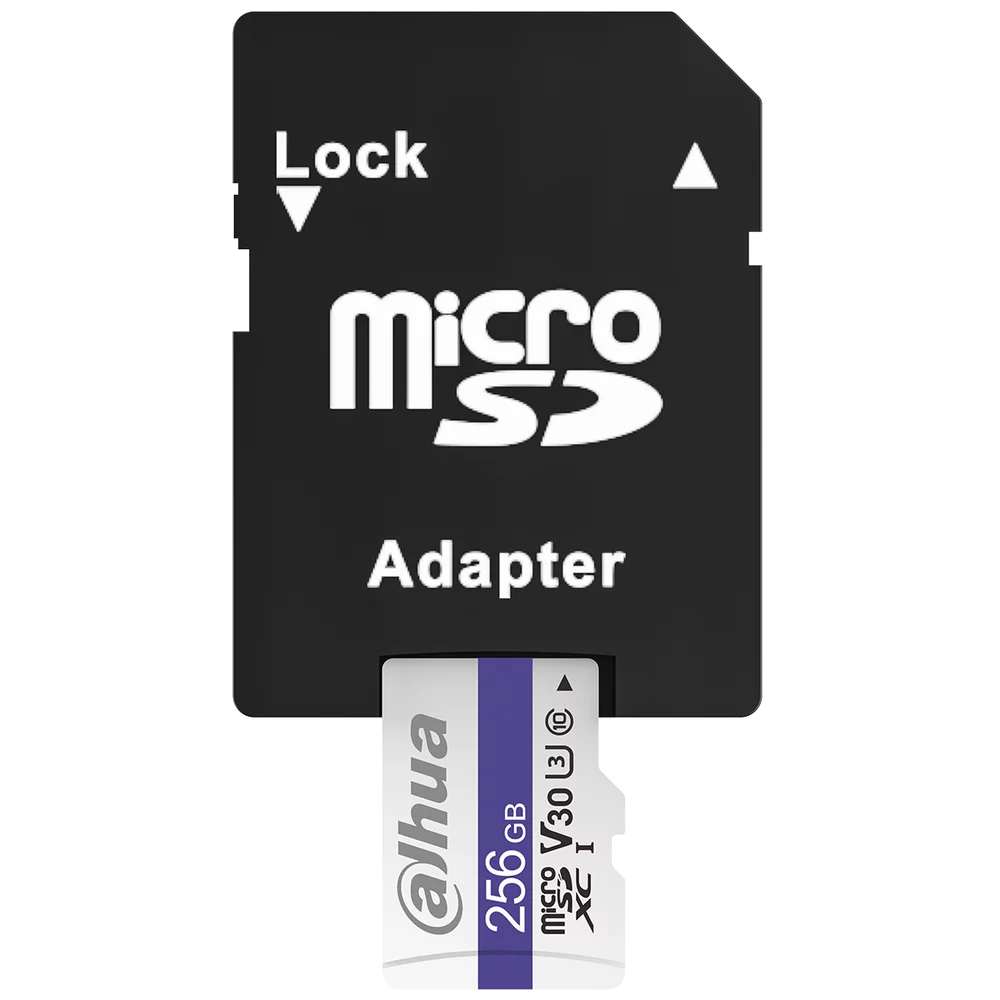 Картинка dhi-tf-c100a-256gb
