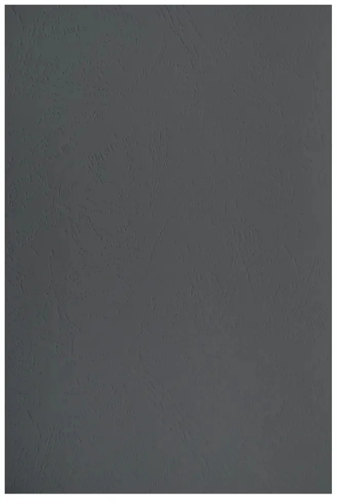 Обложки для переплёта Silwerhof Daily A4 230г/ м2 черный (100шт) (2090823) (2090823#MLN)