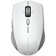 Картинка rz01-03990100-r3g1
