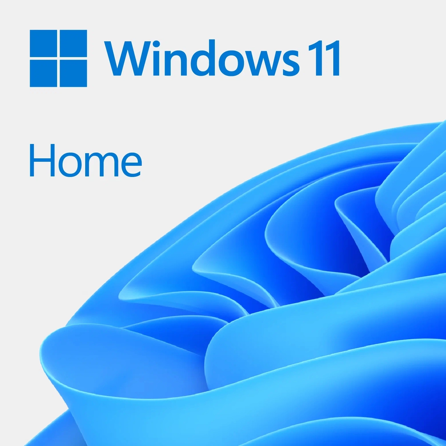 Win 11 Home 64Bit English 1pk DSP OEI DVD (KW9-00633)
