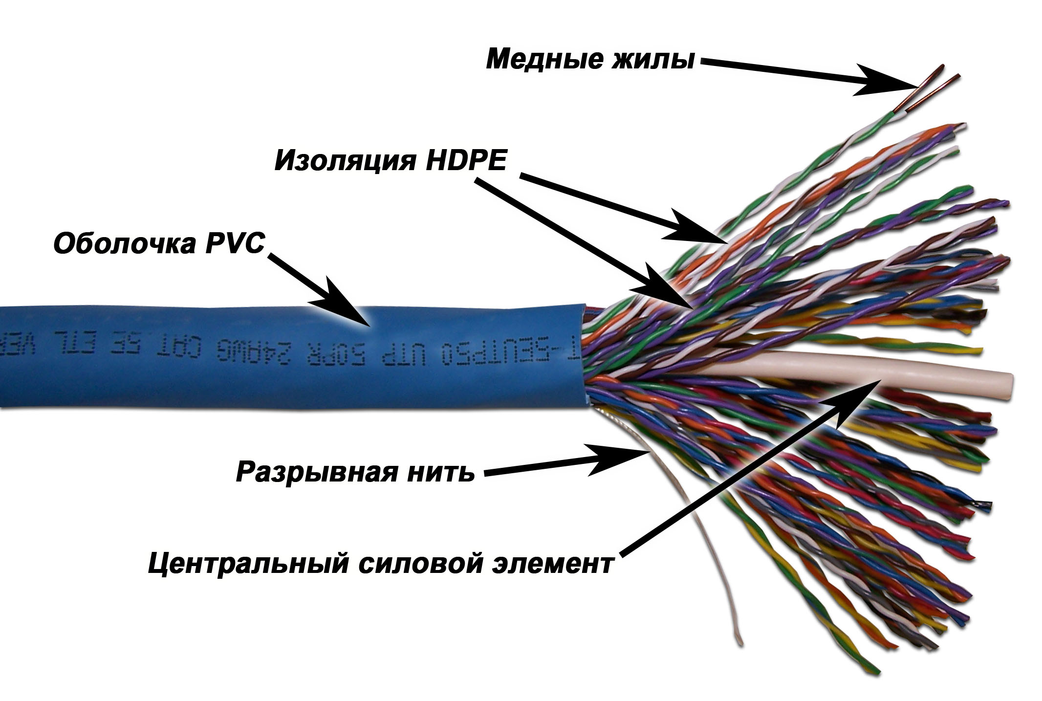 Картинка twt-5eutp50
