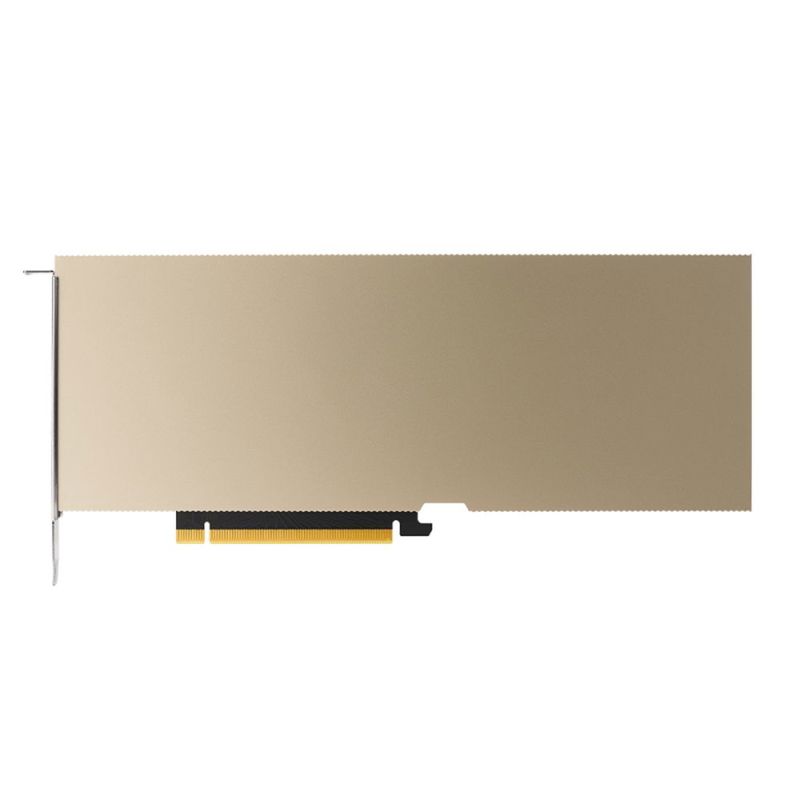 Видеоускоритель/ Nvidia A10 (900-2G133-0020-000)