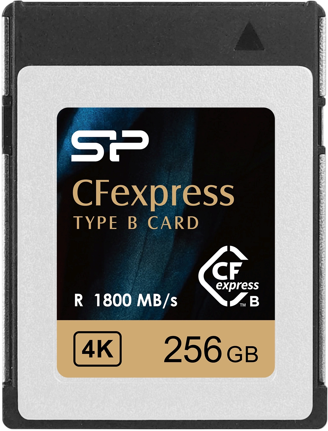 Картинка sp256gbcfeb21v10
