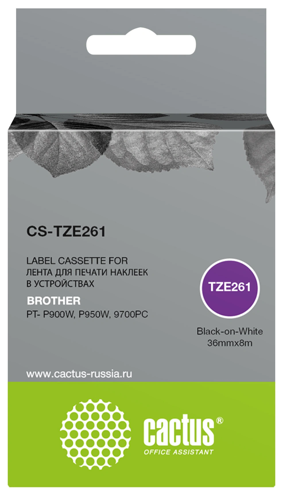 Картинка cs-tze261