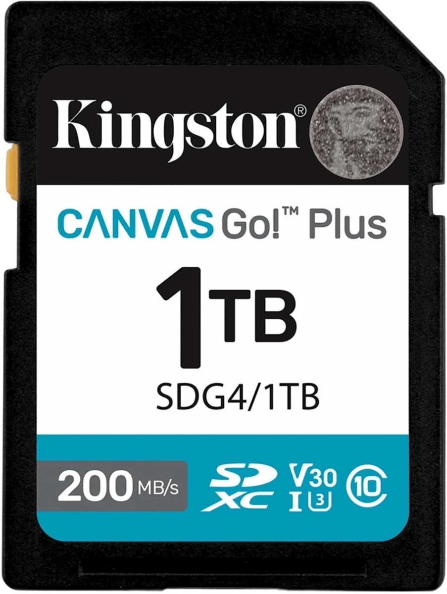 Картинка sdg4-1tb

