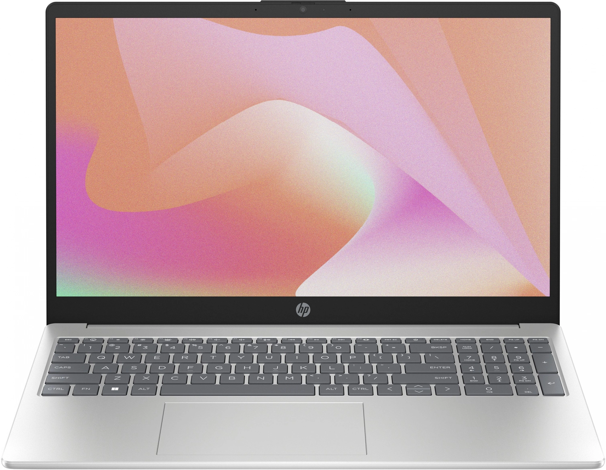 Ноутбук HP 15-fd0131wm Core i3 N305 8Gb SSD256Gb Intel UHD Graphics 15.6" IPS FHD (1920x1080) Windows 11 Home silver WiFi BT Cam (9C9A2UA)