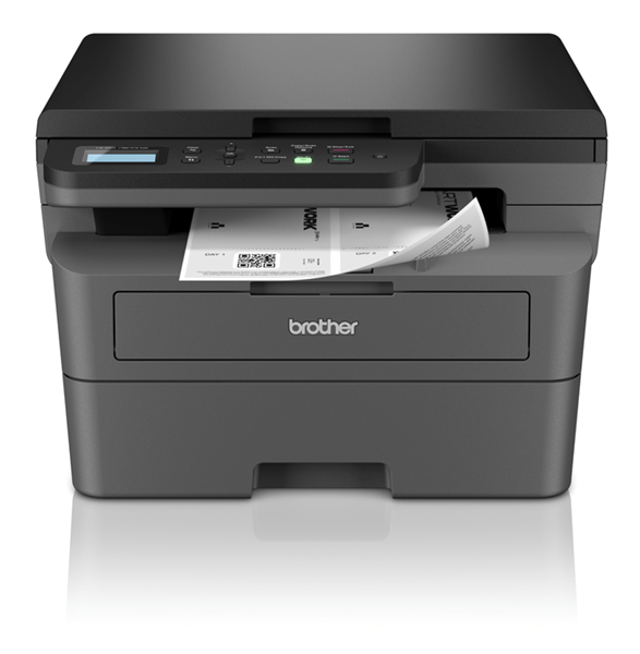 Картинка dcpl2620dwre1
