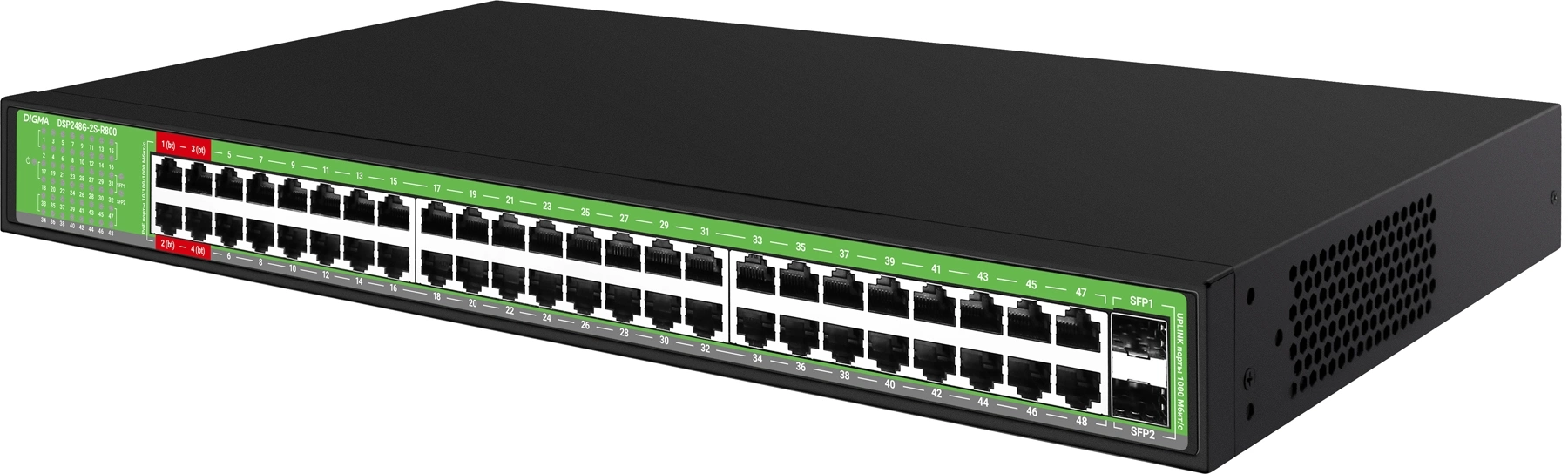 Картинка dsp248g-2s-r800-v1
