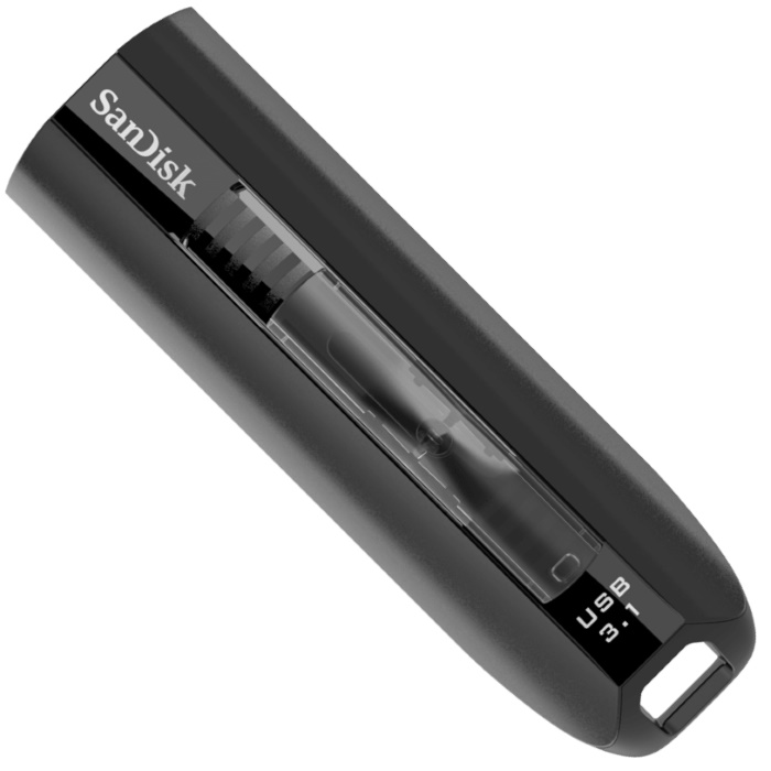 Картинка sdcz810-064g-g46
