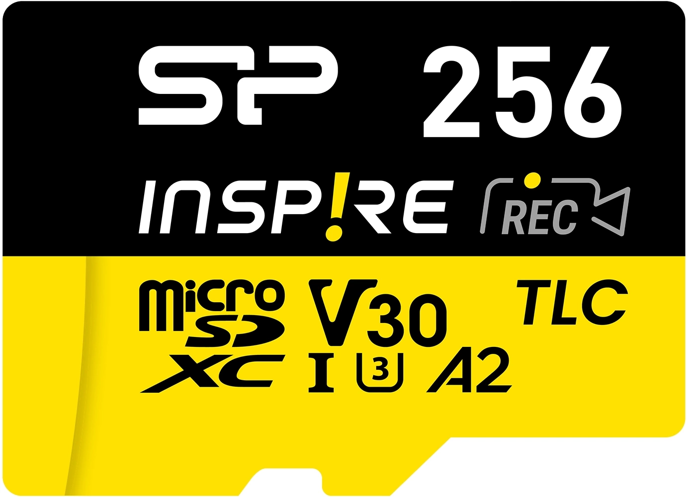 Картинка sp256gbstxla2v1n
