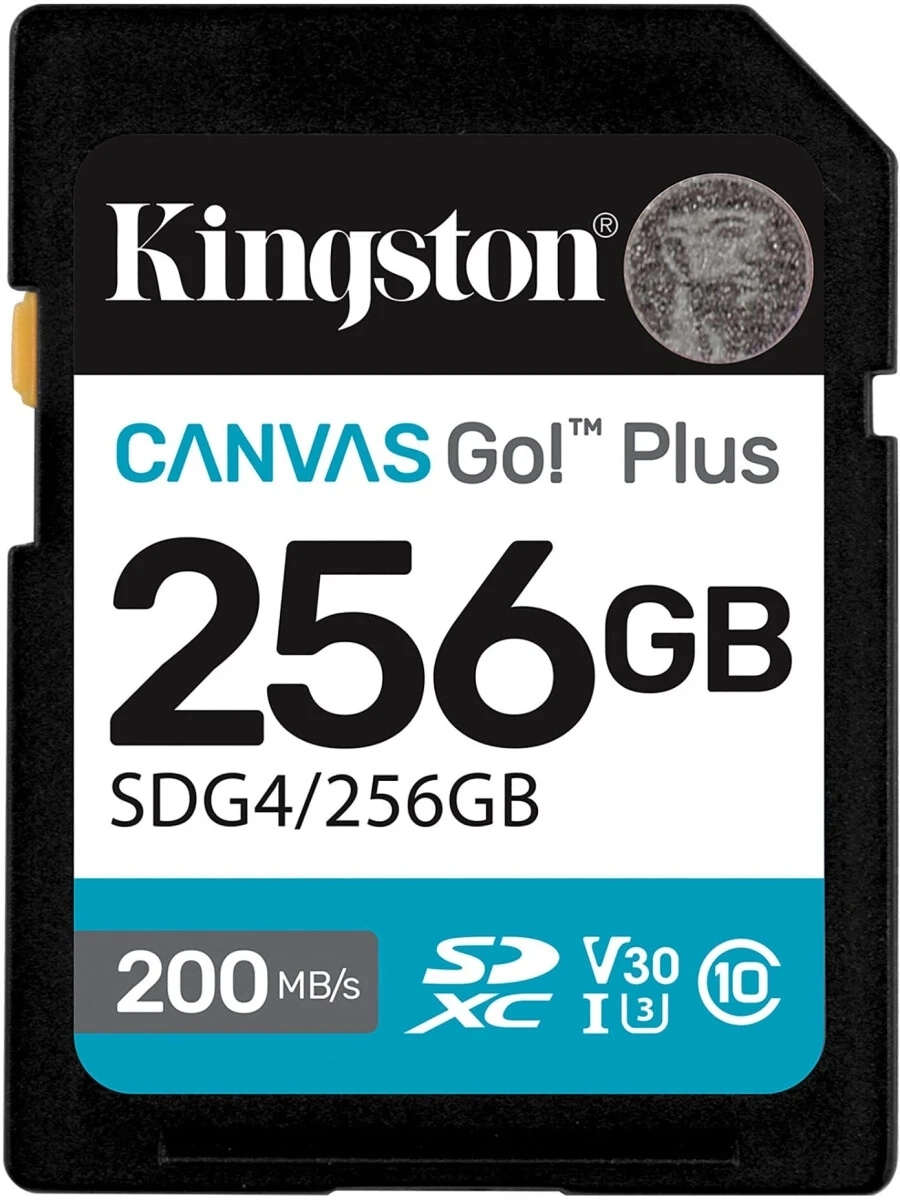 Картинка sdg4-256gb
