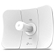 Картинка Точка доступа TP-LINK CPE605 (CPE605) 