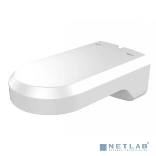 Настенный кронштейн, белый, для миниатюрных PT-камер, пластик, 223.9х80х125.8мм (DS-1294ZJ)